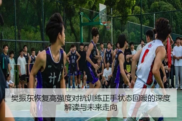 樊振东恢复高强度对抗训练正手状态回暖的深度解读与未来走向